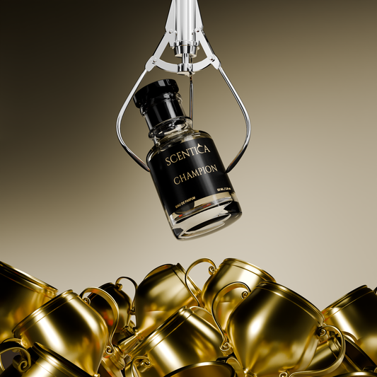 CHAMPION - Inspiration LV Ombre Nomad