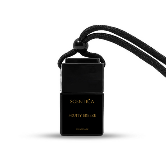 FRUITY BREEZE - Car Hanging Diffuser