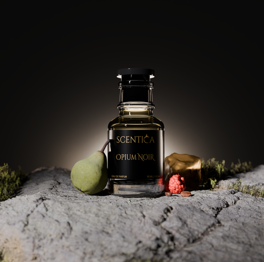 OPIUM NOIR - Inspiration Black Opium YSL