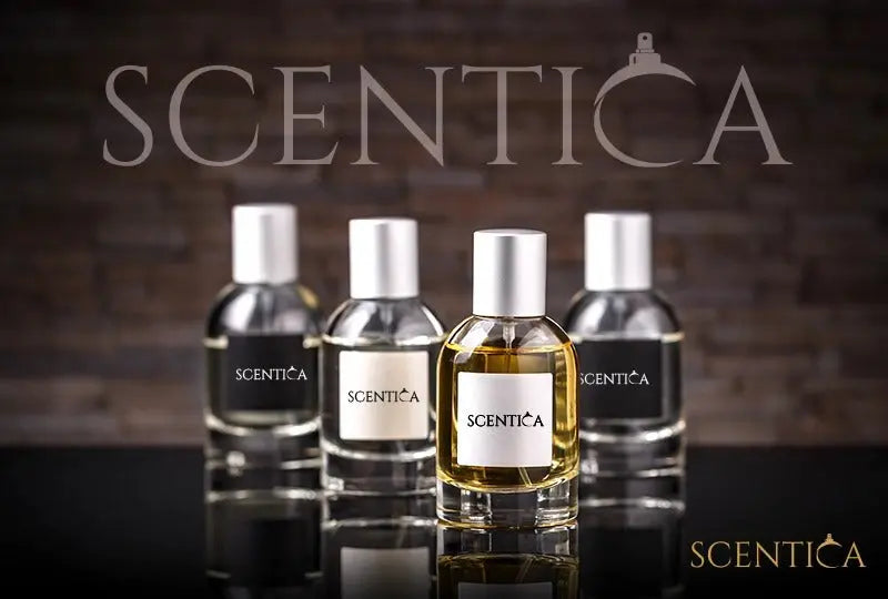 Scentica Perfumes Bundles
